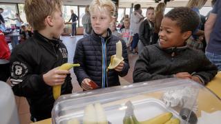 Gezonde Sportomgeving